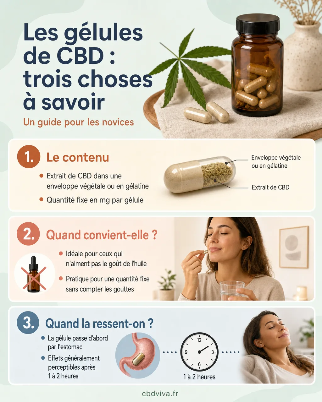 Les gélules de CBD en trois repères, contenu, quand elles conviennent, quand on les remarque