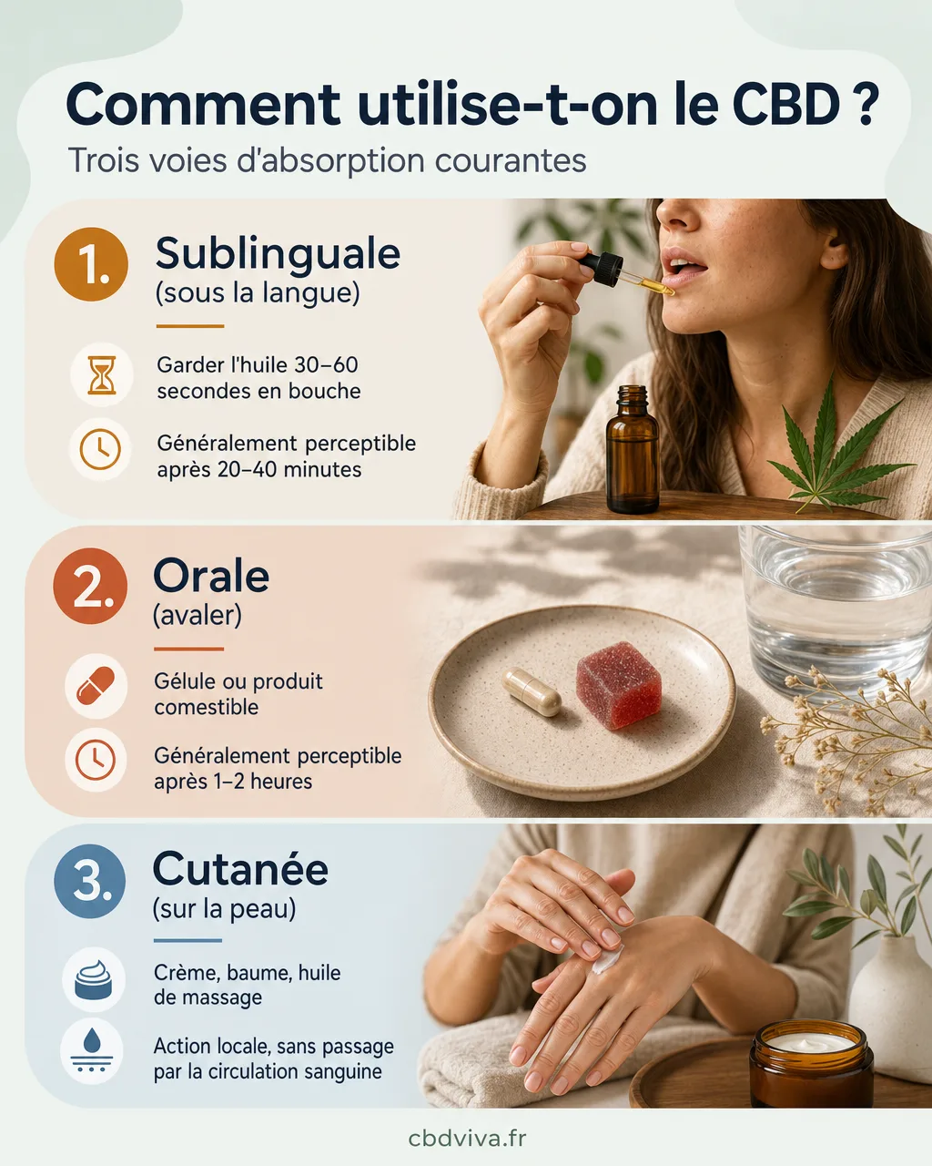 Utilisation du CBD, trois voies d'absorption comparées
